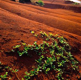 雅达利经典竞速游戏复活作《NeoSprint》现已在Steam平台正式发售